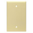 1-Gang No Device Blank Wallplate, Box Mount - Nylon (Gray)