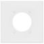 2-Gang 2.15" Dia. Single Receptacle Wall Plate, Mid-Size, Polycarbonate - White