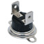 Auto Reset Rollout Limit Switch (Cut In 115°F, Cut Out 155°F)