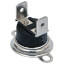 Auto Reset Rollout Limit Switch (Cut In 205°F, Cut Out 255°F)