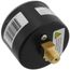 2.5" Steel Low Pressure Gauge, Back Mount (0-5 psi/kPa)