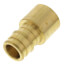 1/2" Expansion PEX x 1/2" Female Sweat Copper Pipe Adapter (Lead Free Brass)
