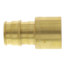 1/2" Expansion PEX x 1/2" Female Sweat Copper Pipe Adapter (Lead Free Brass)