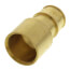 1/2" Expansion PEX x 1/2" Female Sweat Copper Pipe Adapter (Lead Free Brass)