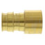 1-1/4" Expansion PEX x 1-1/4" Female Sweat Copper Pipe Adapter (Lead Free Brass)