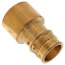 1-1/2" Expansion PEX x 1-1/2" Female Sweat Copper Pipe Adapter (Lead Free Brass)