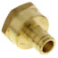 1/2" Expansion PEX x 3/4" NPT Female Adapter (Lead Free Brass)