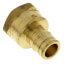 1/2" Expansion PEX x 1/2" NPT Female Adapter (Lead Free Brass)