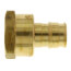 1/2" Expansion PEX x 1/2" NPT Female Adapter (Lead Free Brass)