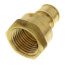 1/2" Expansion PEX x 1/2" NPT Female Adapter (Lead Free Brass)