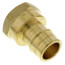 1" Expansion PEX x 1" NPT Female Adapter (Lead Free Brass)