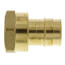 1" Expansion PEX x 1" NPT Female Adapter (Lead Free Brass)