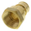 1" Expansion PEX x 1" NPT Female Adapter (Lead Free Brass)