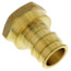 1-1/4" Expansion PEX x 1-1/4" NPT Female Adapter (Lead Free Brass)
