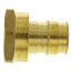 1-1/4" Expansion PEX x 1-1/4" NPT Female Adapter (Lead Free Brass)