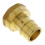 1-1/2" Expansion PEX x 1-1/2" NPT Female Adapter (Lead Free Brass)
