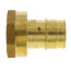 1-1/2" Expansion PEX x 1-1/2" NPT Female Adapter (Lead Free Brass)