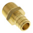 1/2" Expansion PEX x 1/2" NPT Male Adapter (Lead Free Brass)