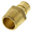 1/2" Expansion PEX x 1/2" NPT Male Adapter (Lead Free Brass)