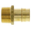 1" Expansion PEX x 1" NPT Male Adapter (Lead Free Brass)