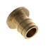 1" Expansion PEX Plug (Lead Free Brass)