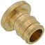 1/2" Expansion PEX Plug (Lead Free Brass)