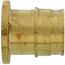 1" Expansion PEX Plug (Lead Free Brass)