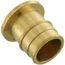 1" Expansion PEX Plug (Lead Free Brass)