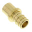 1/2" Expansion PEX x 1/2" Male Sweat Copper Fitting Adapter (Lead Free Brass)