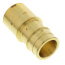 1" Expansion PEX x 1" Male Sweat Copper Fitting Adapter (Lead Free Brass)