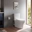 MS446124CEMFGN#03 Aquia IV 2-Piece Elongated Dual Flush 1.28 & 0.9 GPF Universal Height Toilet w/ CEFIONTECT, Washlet + Ready (Bone)