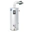RG2DV50H6X-SLD Parts - 48 Gallon - 48,000 BTU Defender Safety System Direct Vent Energy Saver Residential Water Heater, LP Gas (Solid)