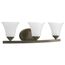 Adorn 3 Light Bath Vanity Light (Antique Bronze), P2010-20W