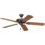 AirPro 52" 5 Blade Indoor/Outdoor Ceiling Fan (Antique Bronze),  P2502-20