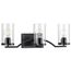 Lassiter 3 Light Clear Glass Bath Vanity Light (Brushed Nickel), P300258-009
