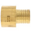 1-1/2" PEX x 1-1/2" Female Sweat Copper Pipe Brass Adapter (Lead Free)