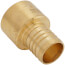 1-1/4" PEX x 1-1/4" Female Sweat Copper Pipe Brass Adapter (Lead Free)