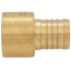1-1/4" PEX x 1-1/4" Female Sweat Copper Pipe Brass Adapter (Lead Free)