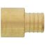 1" PEX x 1" Copper Pipe Brass Adapter (Lead Free)