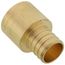 1" PEX x 1" Copper Pipe Brass Adapter (Lead Free)