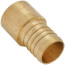 1-1/4" PEX x 1" Female Sweat Copper Pipe Brass Adapter (Lead Free)