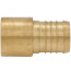 1-1/4" PEX x 1" Female Sweat Copper Pipe Brass Adapter (Lead Free)