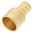 1/2" PEX x 1/2" Copper Pipe Brass Adapter (Lead Free)
