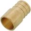 3/4" PEX x 1/2" Copper Pipe Brass Adapter (Lead Free)