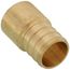 3/4" PEX x 1/2" Copper Pipe Brass Adapter (Lead Free)