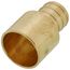 3/4" PEX x 3/4" Copper Pipe Brass Adapter (Lead Free)