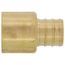 3/4" PEX x 3/4" Copper Pipe Brass Adapter (Lead Free)