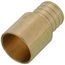 1" PEX x 1" Copper Fitting Brass Adapter (Lead Free)