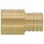 1" PEX x 1" Copper Fitting Brass Adapter (Lead Free)