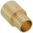 1" PEX x 1" Copper Fitting Brass Adapter (Lead Free)